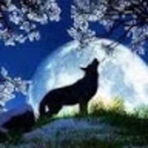 Meet your Posher, Alaina